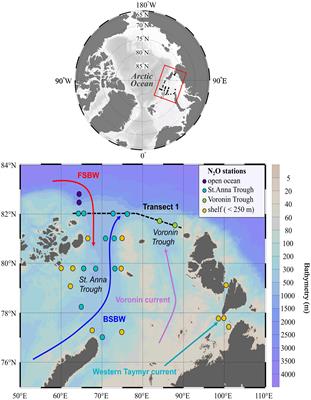 Nitrous oxide dynamics in the Kara Sea, Arctic Ocean